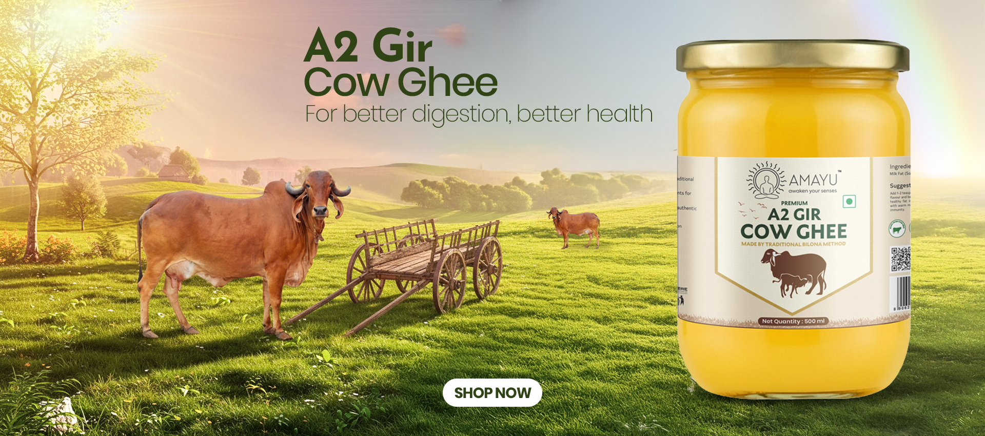 Desktop Slider Image