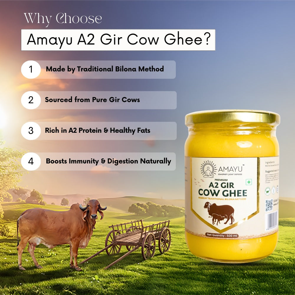 Amayu Premium A2 Gir Cow Ghee 500ML