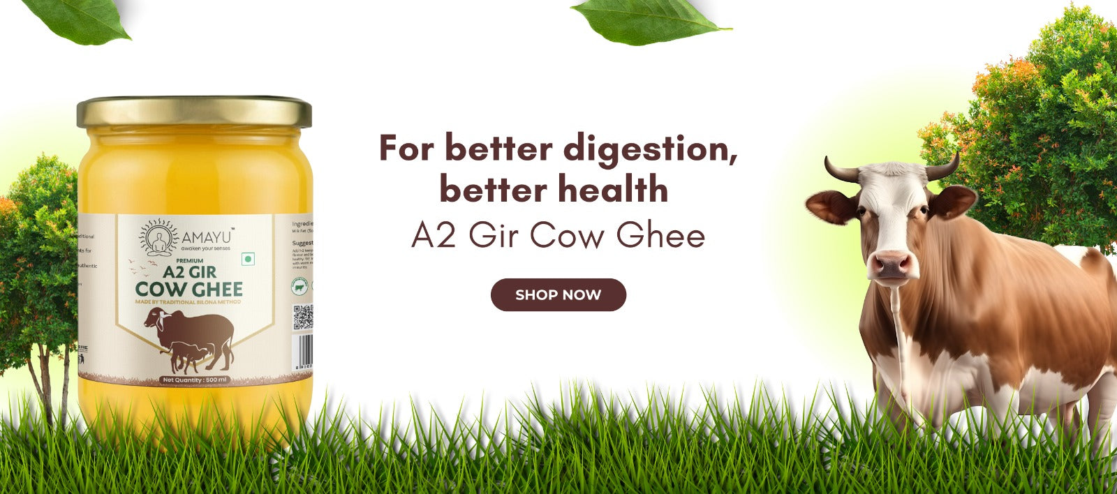 Desktop Slider Image